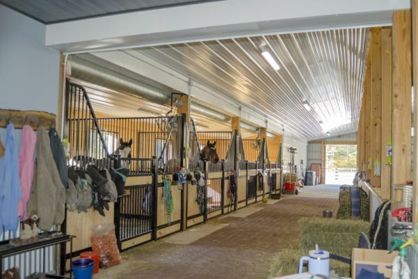 Nova-Horse Barn-Interior 5