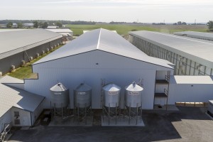 DW-Poultry Layer House 1