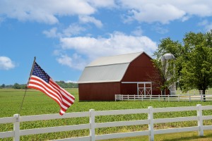 DDB-Barn Metal Roof - Hamilton, MI