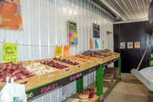 VF-Country Market Interior 3