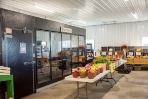 VF-Country Market Interior 8