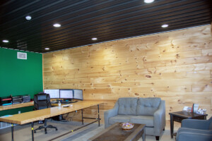 SA-Interior Ceiling Liner Panel 5 done by WBC